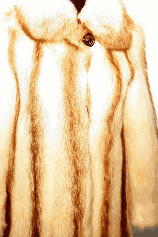 Изображение - Пальто женское из енота с воротником ERV-110 ERV-110